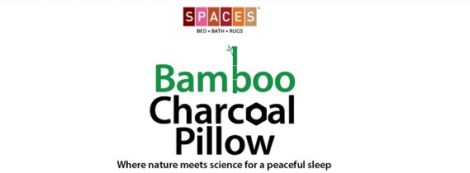 spaces charcoal pillow